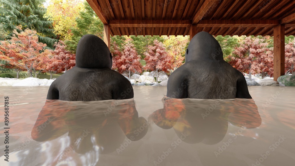 温泉 屋外 個室露天風呂