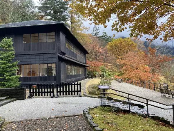 八丁出島、美しいモザイク模様 奥日光の中禅寺湖畔で紅葉最盛期Movemate ムーブメイト