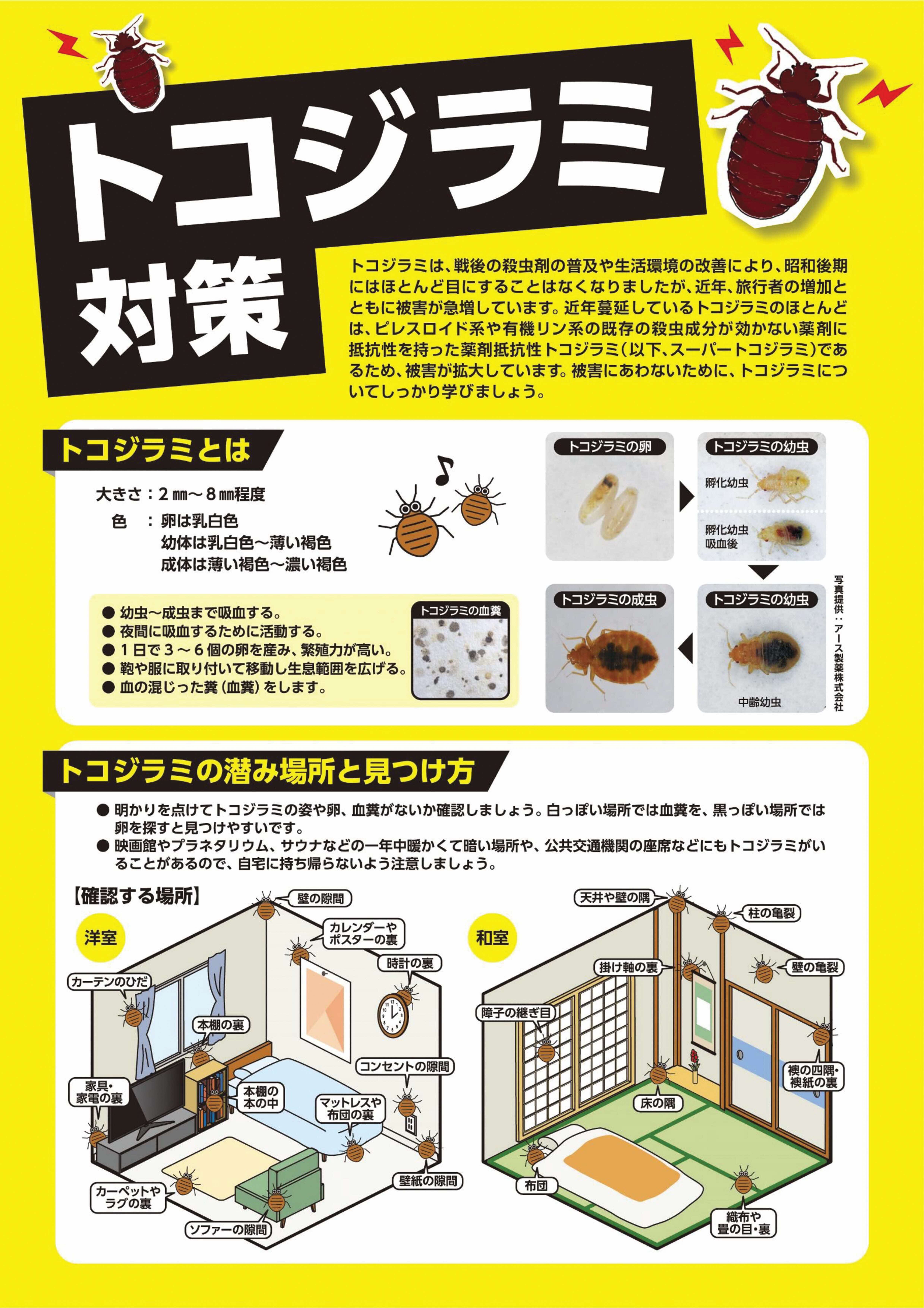 もう刺されたくない！ 旅行時のトコジラミ徹底対策マニュアル - トコジラミ駆除なら24時間対応の業者害虫獣SOS