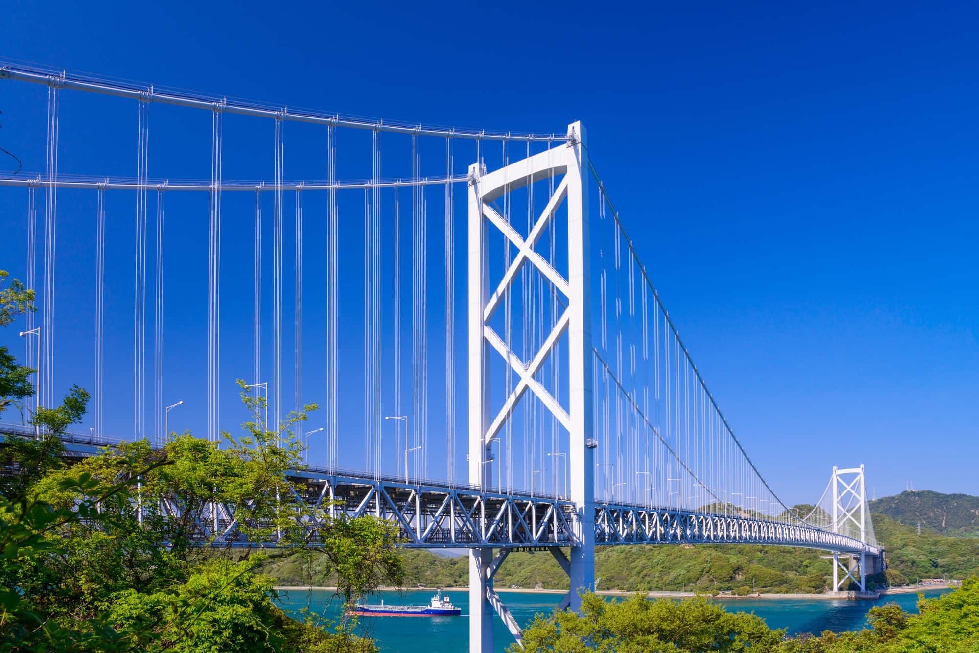 因島大橋記念公園 ホームメイト