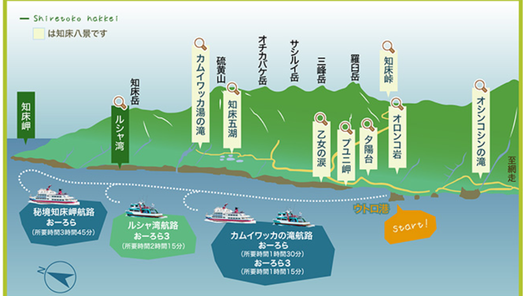 知床クルーズ・ルシャ湾コースのヒグマ遭遇確率100%は本当？』知床・ウトロ 北海道 の旅行記・ブログ