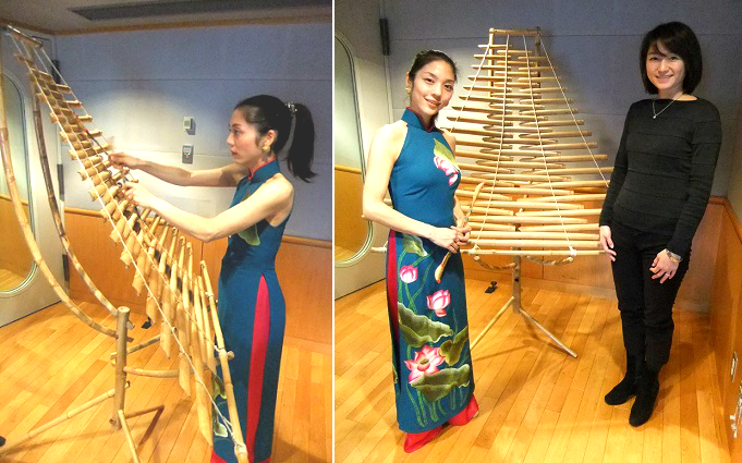 ベトナムの石琴 ダン ダー トルントゥルン