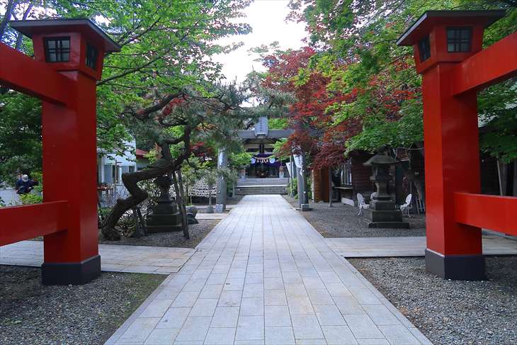 北海道札幌市』限定開催🌺弥彦神社の花手水⛩花詣💐jptravelerspicが投稿したフォトブックLemon8