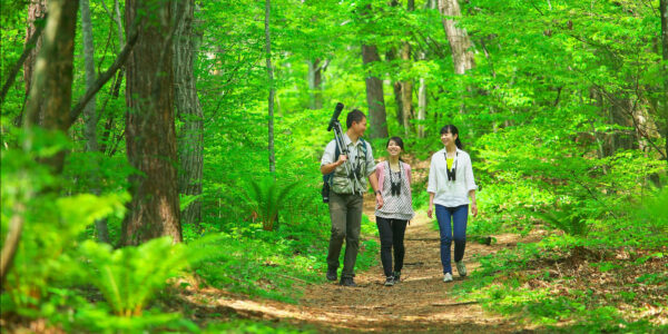 軽井沢子連れプチ旅行🚄 気候もカラッとしてて過ごしやすくて最高だった〜〜🥹 広ーい敷地の中で遊ぶアクティビティに 駅からすぐ近くのホテル🥳そして温泉までついてて♨️