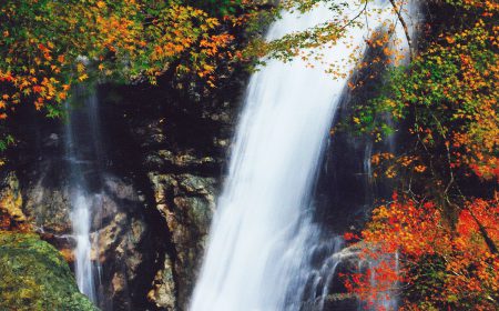 2023 長野県の紅葉見頃は？名所やライトアップ情報も解説！ たびの足