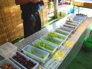 山梨で人気のぶどう狩りスポット7選！美味しいぶどうが食べ放題♡aumo アウモ