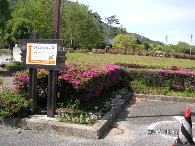 chattanaの森 ～カフェやタイニーハウスも併設する余暇村公園の人気スポット地域商社RAKU地域の資源を活かし、街に賑わいを