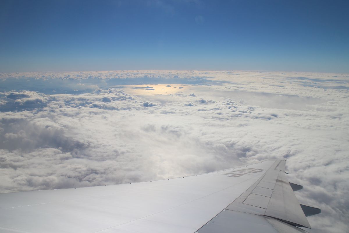 機内からの写真Napa