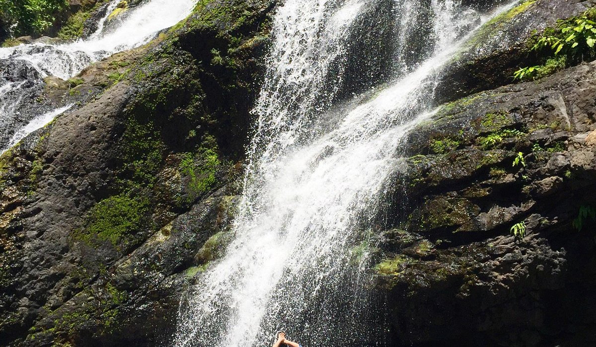 フィリピン・ダバオの日帰りリゾート！サマール島で冒険気分オリコンニュース ORICON NEWS