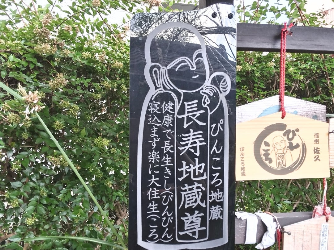 コース紹介 - 小布施見にマラソン