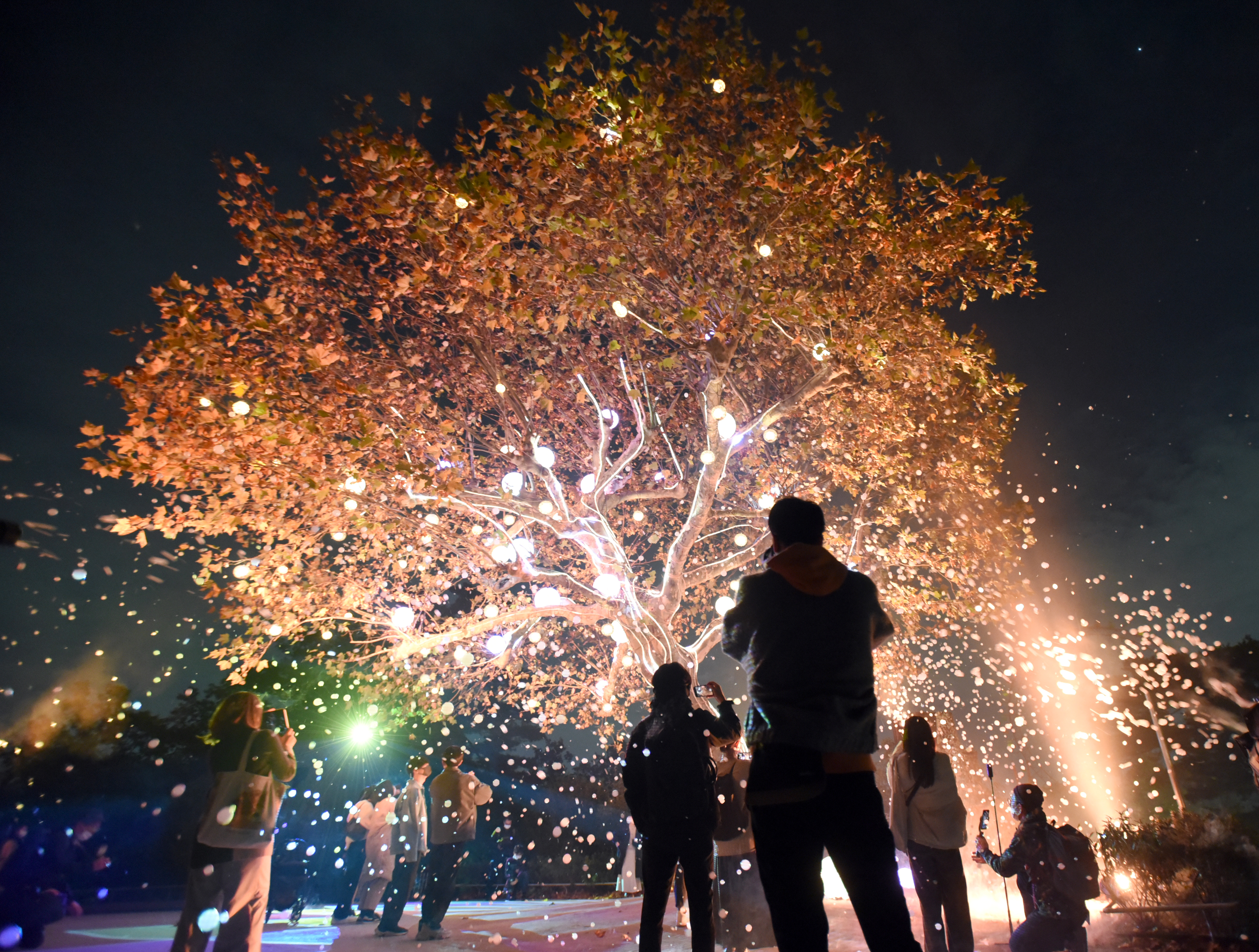 メモリー・オブ・ライト』 記録よりも記憶に残るヒカリと演出♪ 西武園ゆうえんちのリニューアル後初の“没入体験型”イルミネーションが、なんだか気になる!!〜2023.4.9関東のお出かけ情報ならオソトイコ