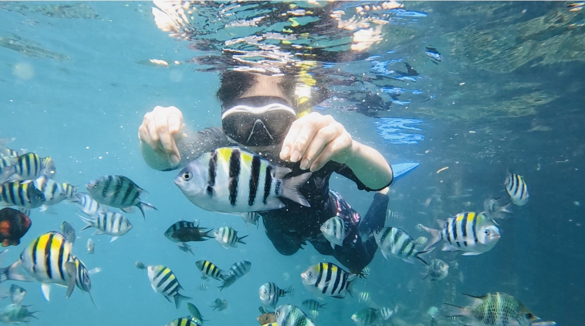 ビンタン島のリゾートホテル 滞在記 隠れ家的なビーチサイドでリラックスour tabi −自分たちで選ぶ、ちょうどよい旅−