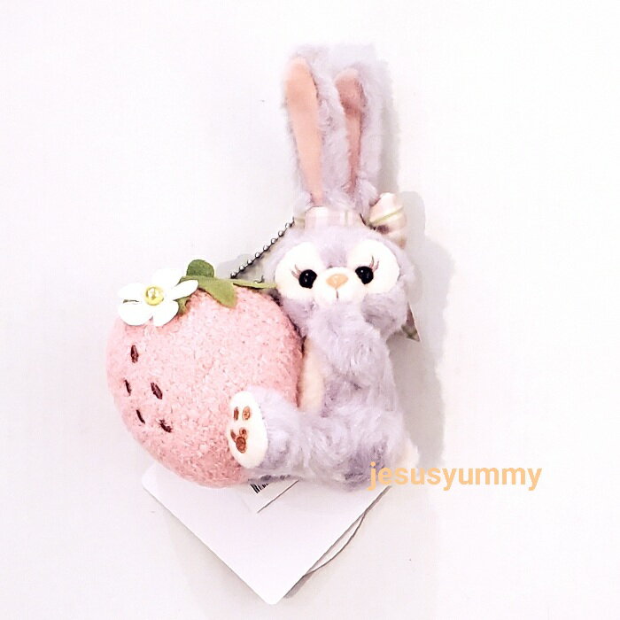 限定 ステラルー 東京ディズニーシー 限定グッズコスチューム付