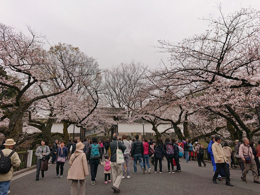 九段下駅周辺グルメおしゃれで美味しい！レストランランキング 28選 - 一休.comレストラン