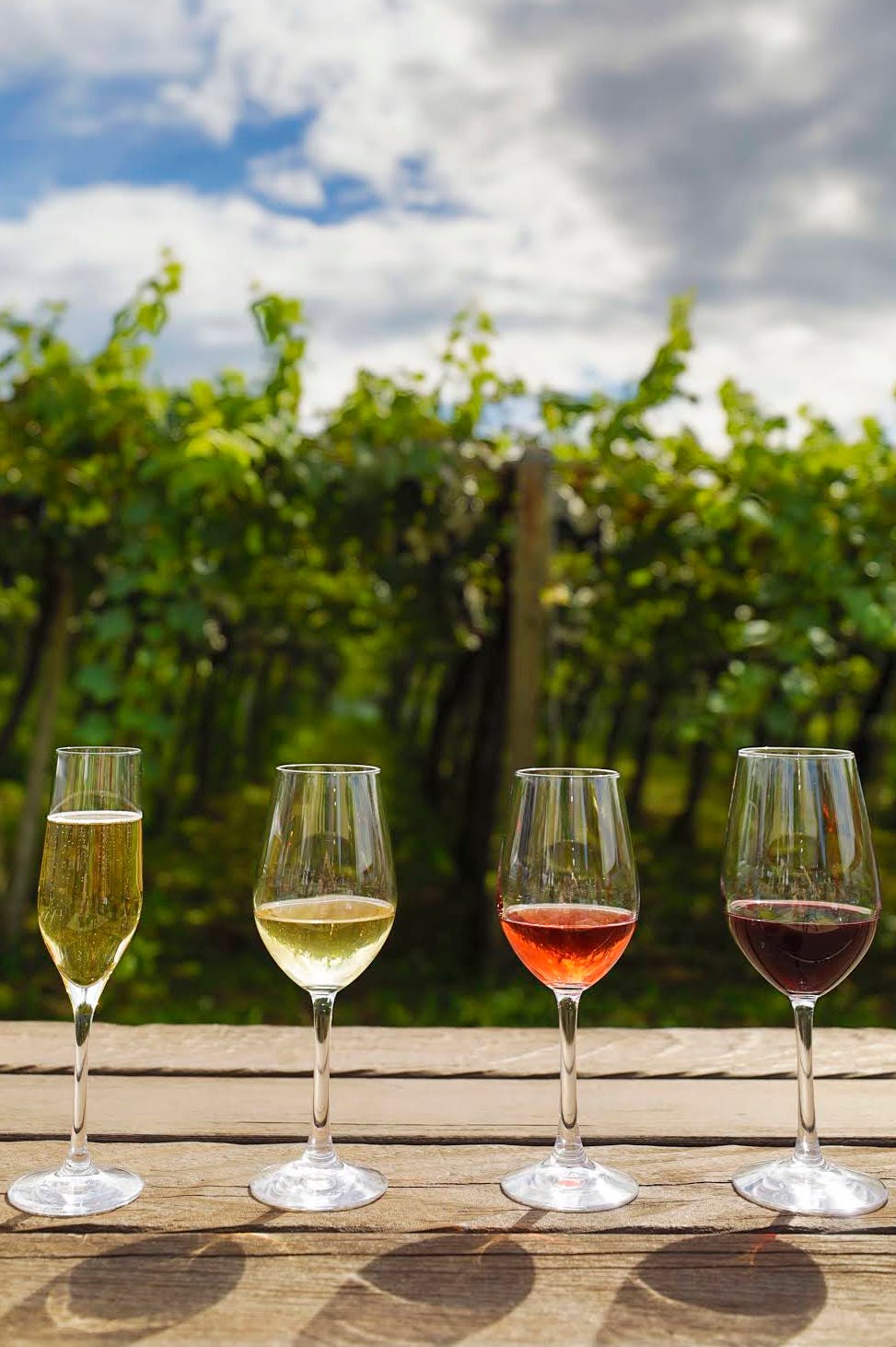 山梨ワインの知られざる最新トリビア4