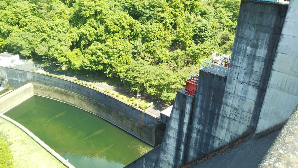 奈良県 室生ダムで陸っぱり 46cm 50cm: