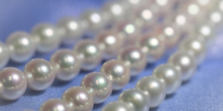 天草パールガーデン＆海中水族館シードーナツ3 上天草市フォトギャラリー公式 熊本県観光サイト もっと、もーっと！くまもっと