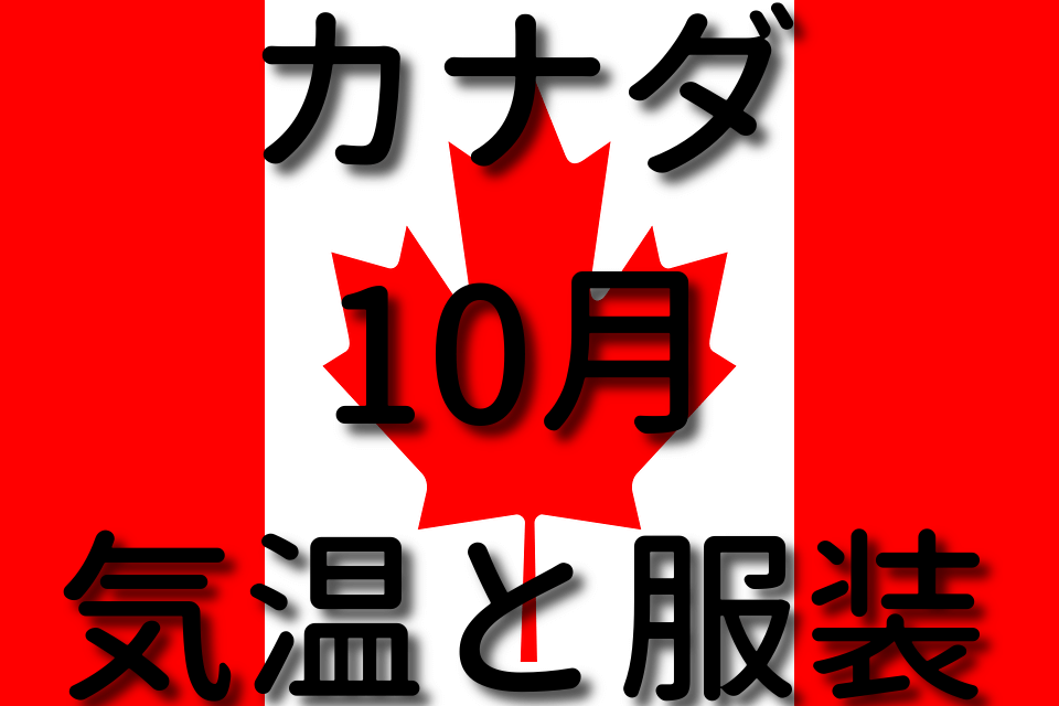 猛暑に苦しめられたメルセデス「気温が高いとマシンの調子が悪い。良くない一日だった」とハミルトン F1第13戦au Webポータルスポーツニュース