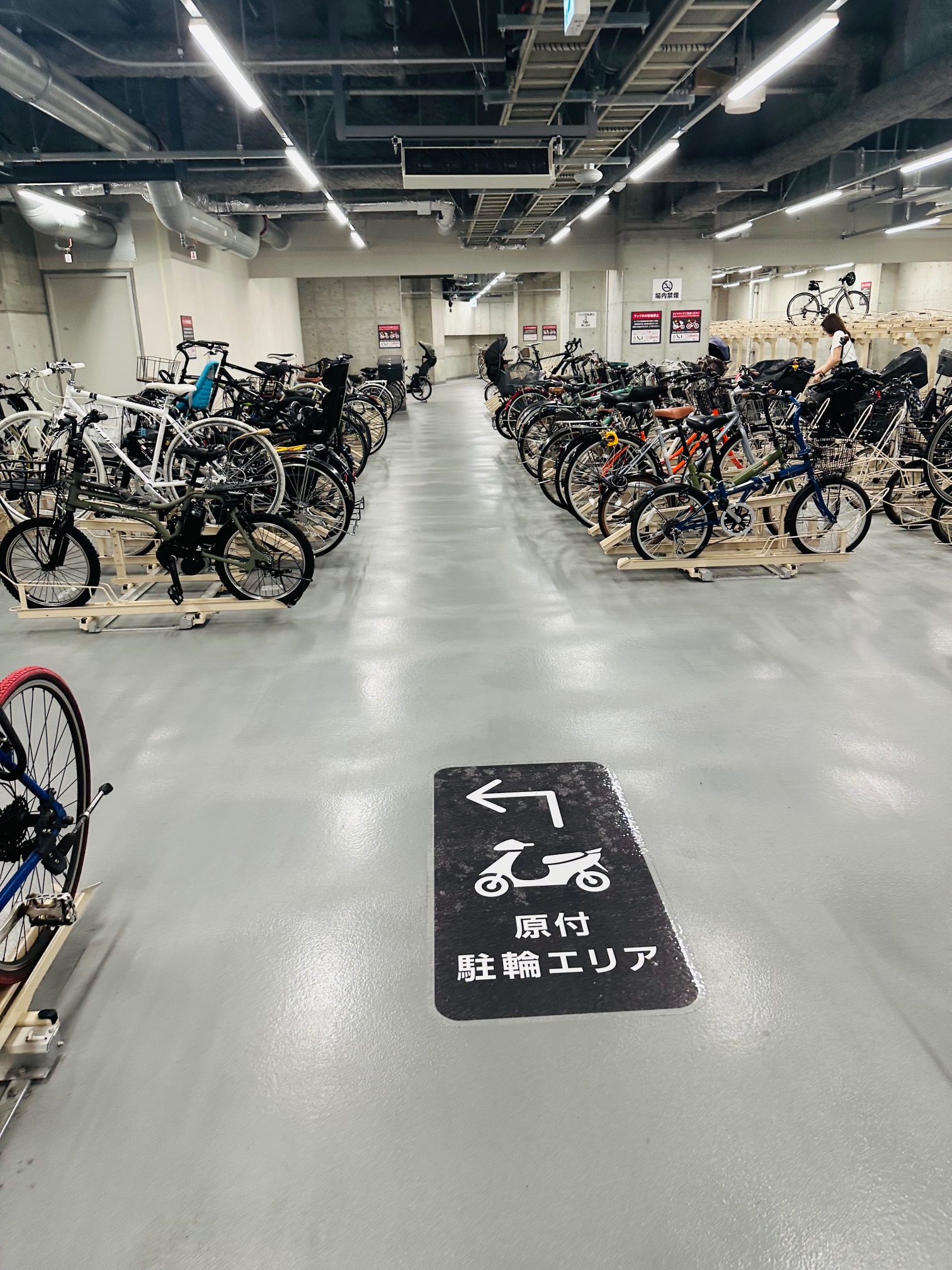 同志社大学 寒梅館ホールスタッフ皆さん、こんにちは⛅️ 寒梅館Hall