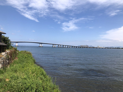 全長4km!!桜の超名所 『海津大崎湖岸園地』のアウトドア情報 駐車場・釣り