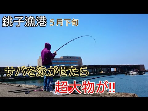 イベント情報・スタッフだよりようこそ、銚子ポートタワーへ