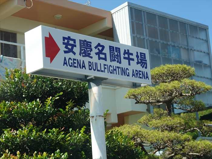 闘牛 清風羅旺、紙一重の勝利 新春南部 闘恩赤琉美、激戦制す沖縄タイムス＋プラス