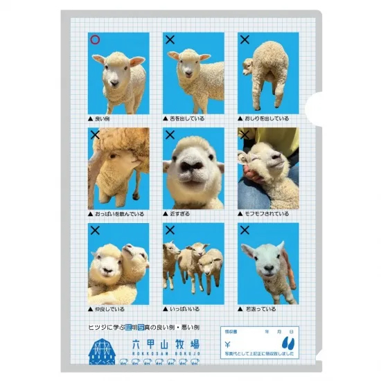 ウールショップ』 神戸市立六甲山牧場子供とお出かけ情報「いこーよ」