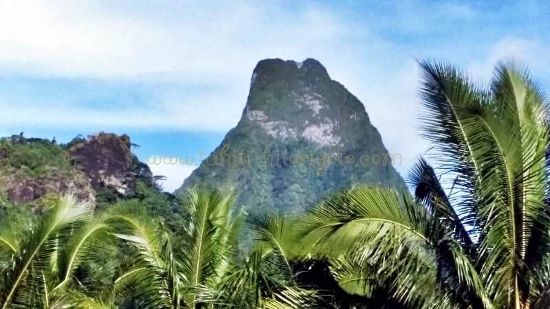 おすすめモーレア島 仏領ポリネシア 観光スポットゲットユアガイドGetYourGuide