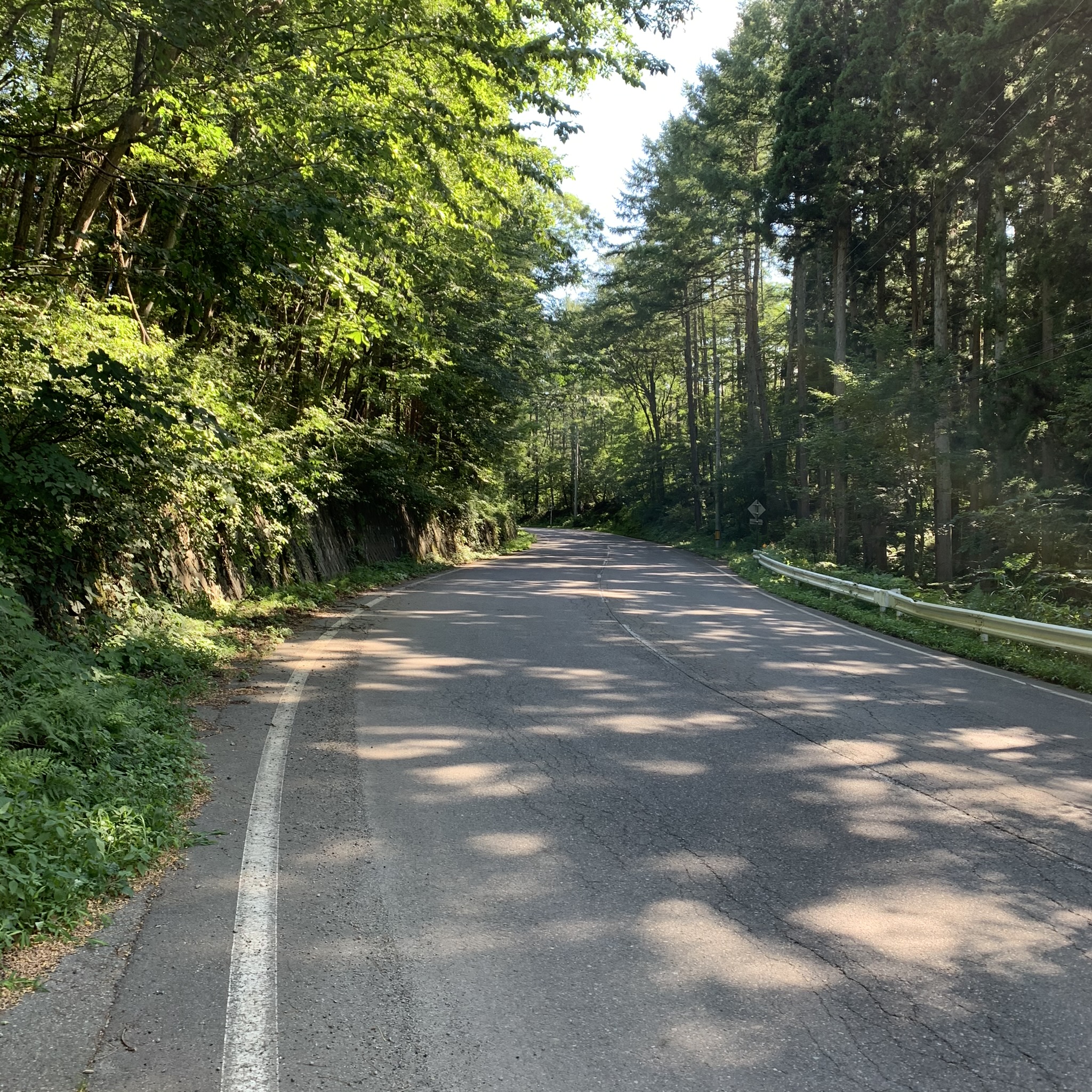 アルプス展望道路経由で白馬へ