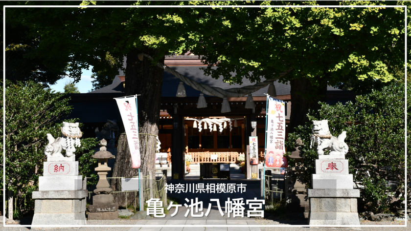 亀ヶ池八幡宮 御朱印 - 相模原市