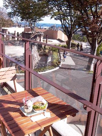 日立市かみね公園日立市観光物産協会公式ホームページ