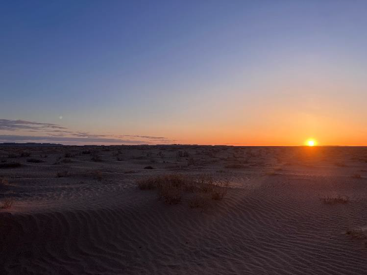 モンゴル１週間旅〜３日目〜ゴビ砂漠へ！旅、山、ときどき車中泊。 旧：３１歳独身女、仕事をやめて旅に出る