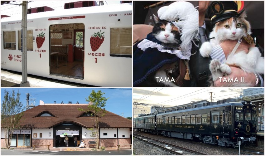 たま駅長 和歌山電鐵貴志川線 たま駅長帳面 いちご電車ポストカード鉛筆 消しゴム