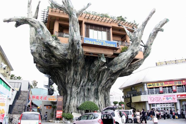 ガジュマルの木の上のレストランIl Diario di NONNA GIGLIO