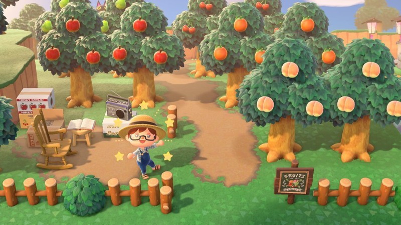 あつ森 果樹園 おしゃれ