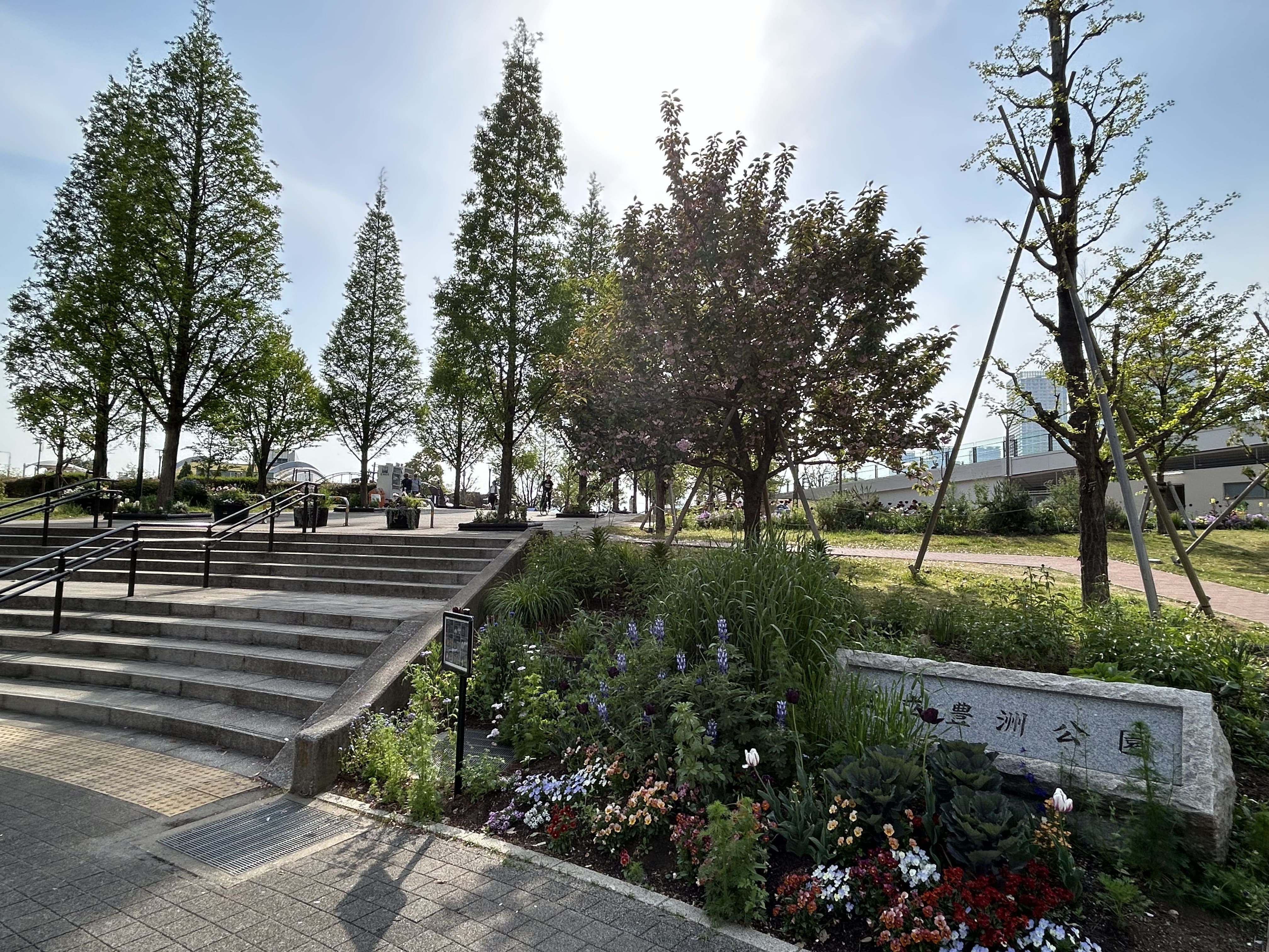 豊洲ぐるり公園での写真撮影の魅力