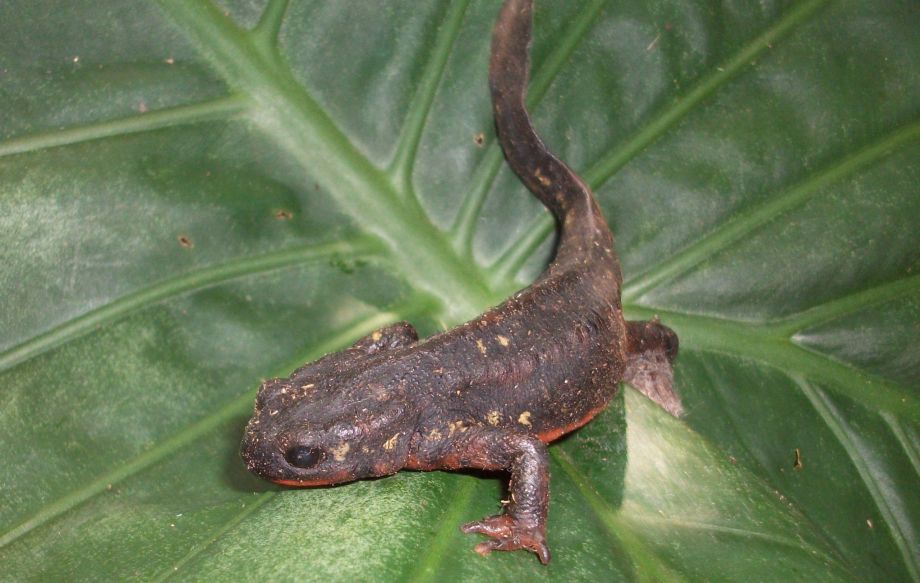 ホロホローの森登山口最新の山行記録と登山ルートやアクセス、気象状況など-ヤマレコ