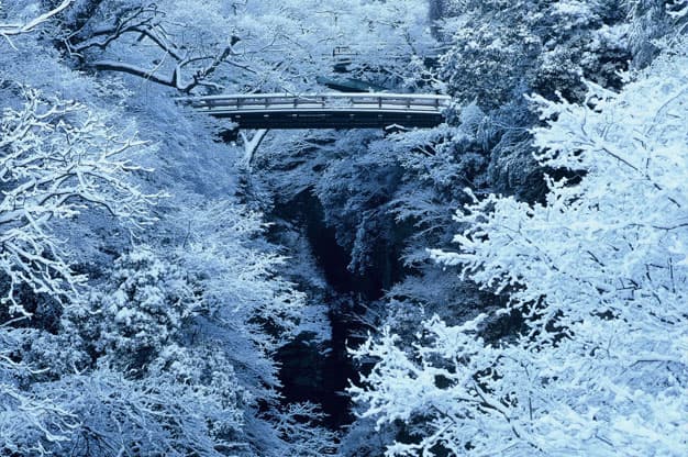 甲斐の猿橋の紅葉紅葉情報2025