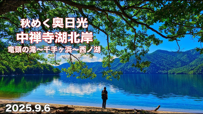 千手ヶ浜自然計画