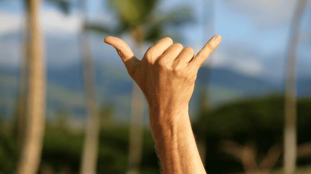 超特急 髙松アロハ ペンライトスタンド KIRARI スクラッチ