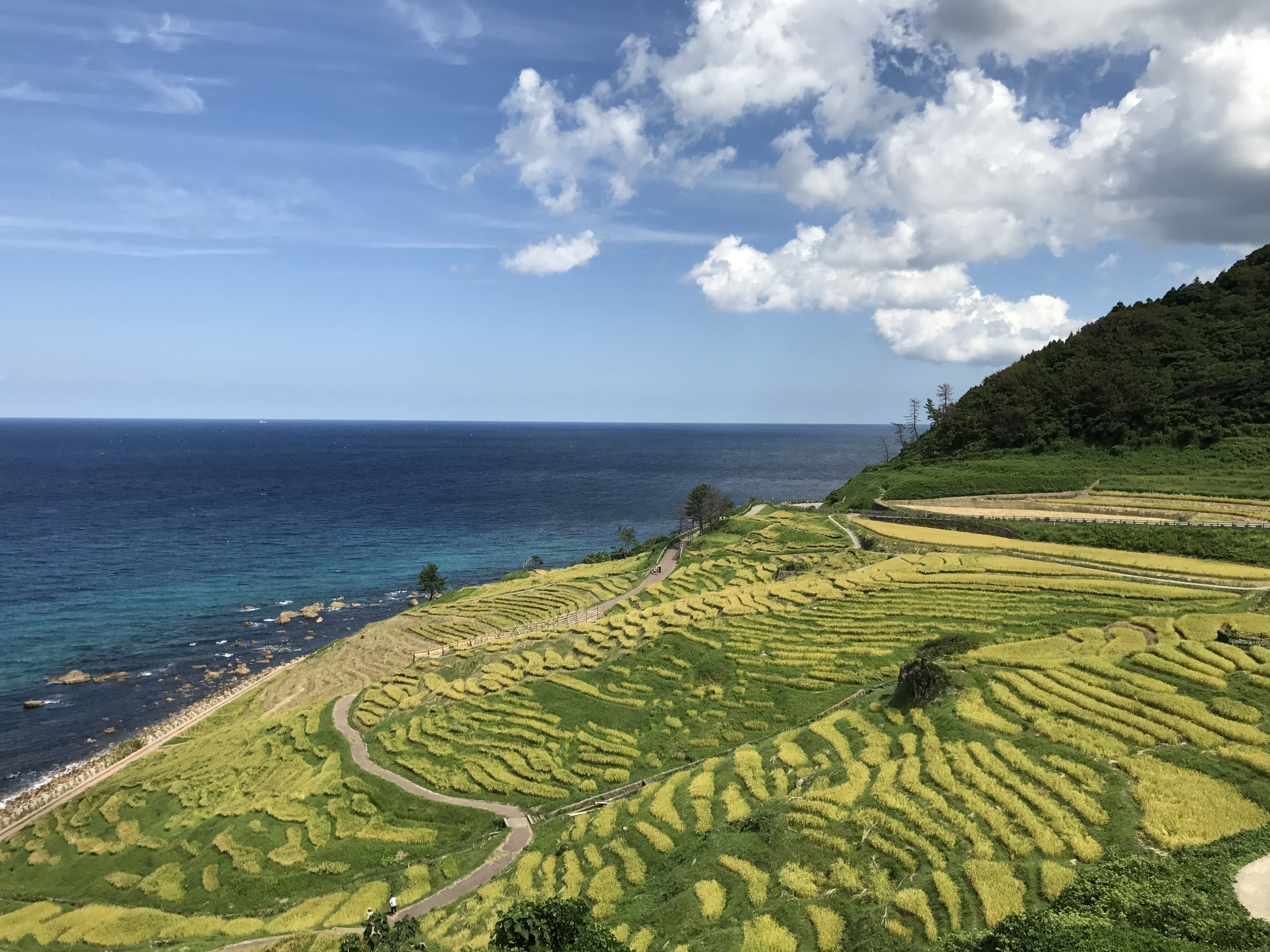 観光に行って応援！ 金沢発着・今行ける能登 2025.8更新 特集 公式