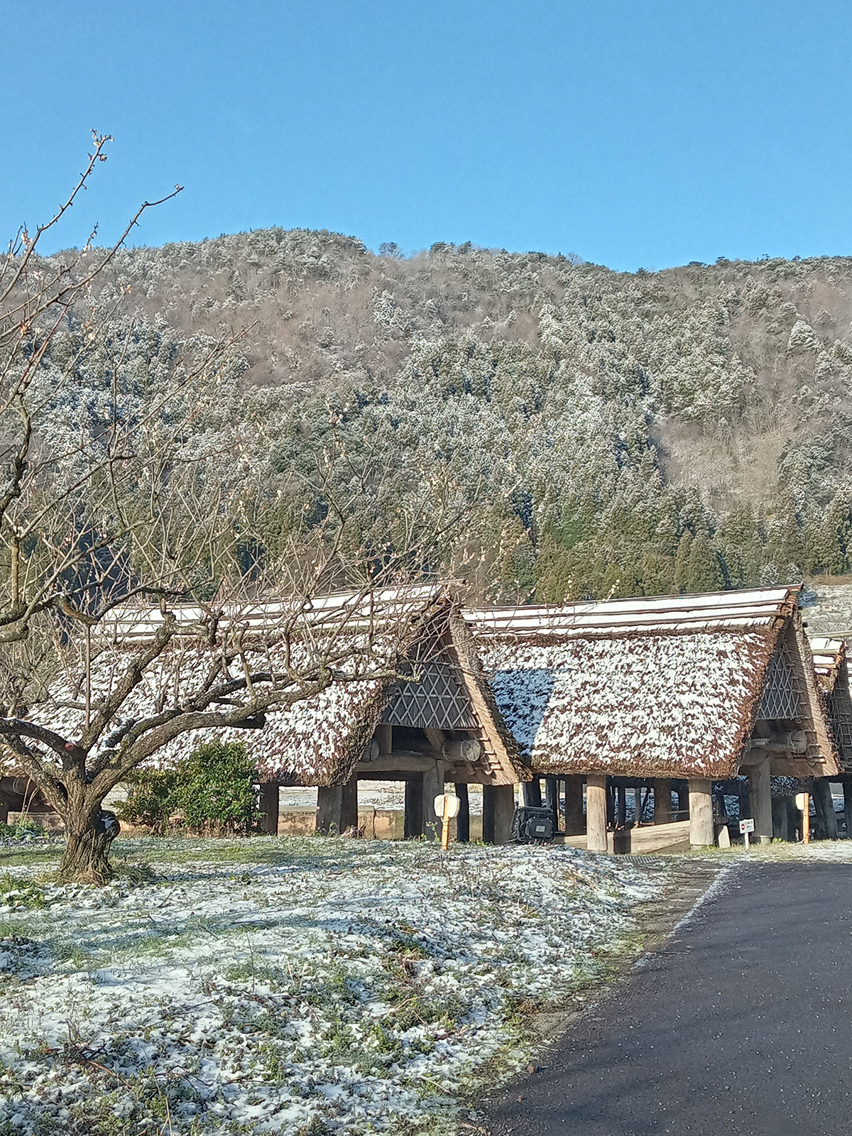 相倉合掌造り集落 富山県南砺市・五箇山 「古旅」日本の古い町並み