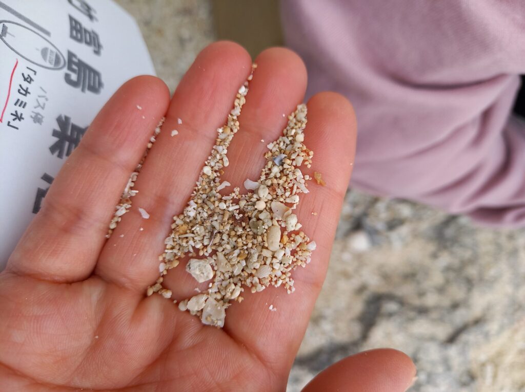 星の砂と貝殻小瓶 2つ 竹富島 星の砂 目まぐる