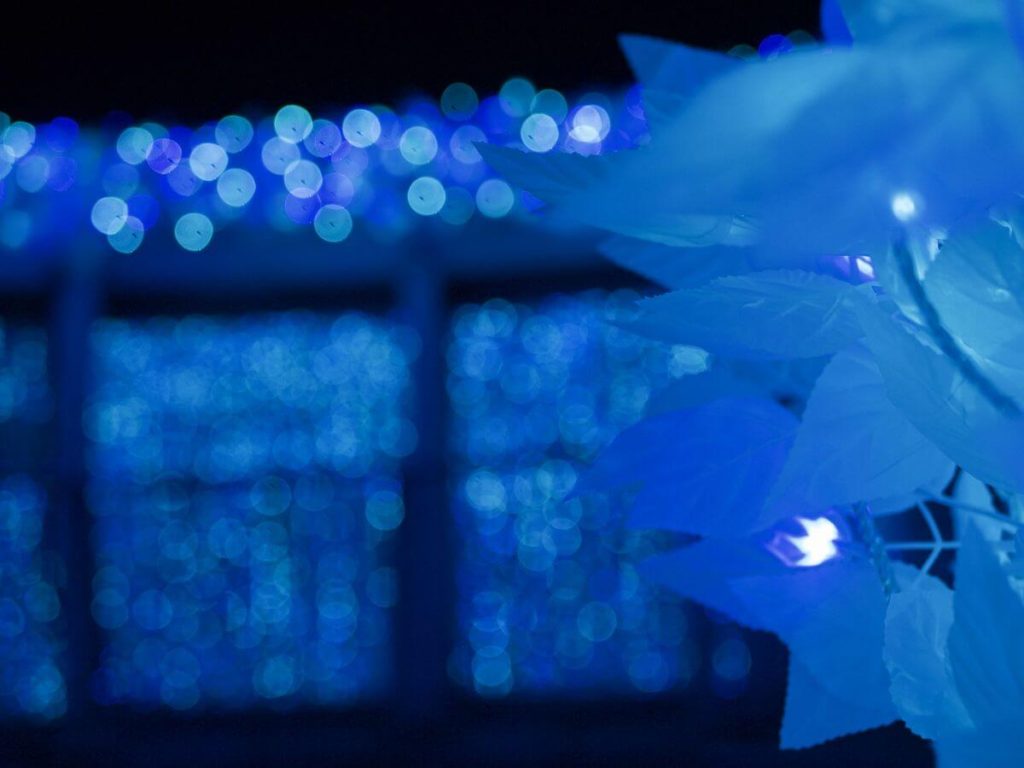 iPhone15Pro・ProMaxで夜景撮影に成功するには？望遠レンズの活用や構図の決め方など夜景写真家が解説@Living アットリビング