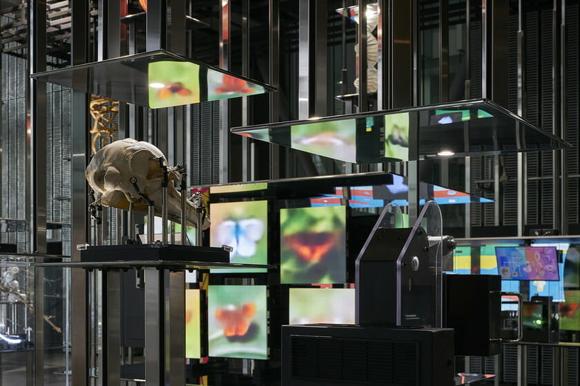 日本科学未来館 Miraikan1000円もって公園へ行こう