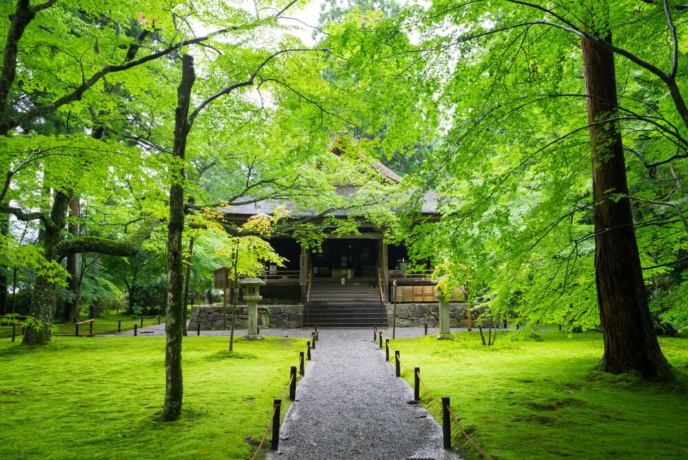 天台宗 三門跡寺院の一つ 三千院 の御朱印・境内の見どころについてむかしたまり
