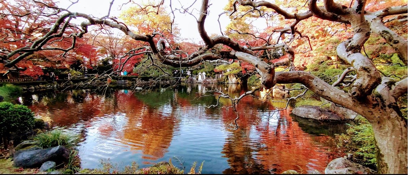 山寺の紅葉 山形県紅葉名所2025