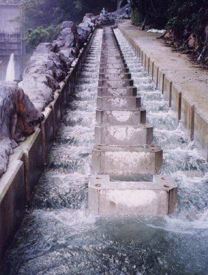 見学無料でおすすめ - 白丸ダム魚道のクチコミ