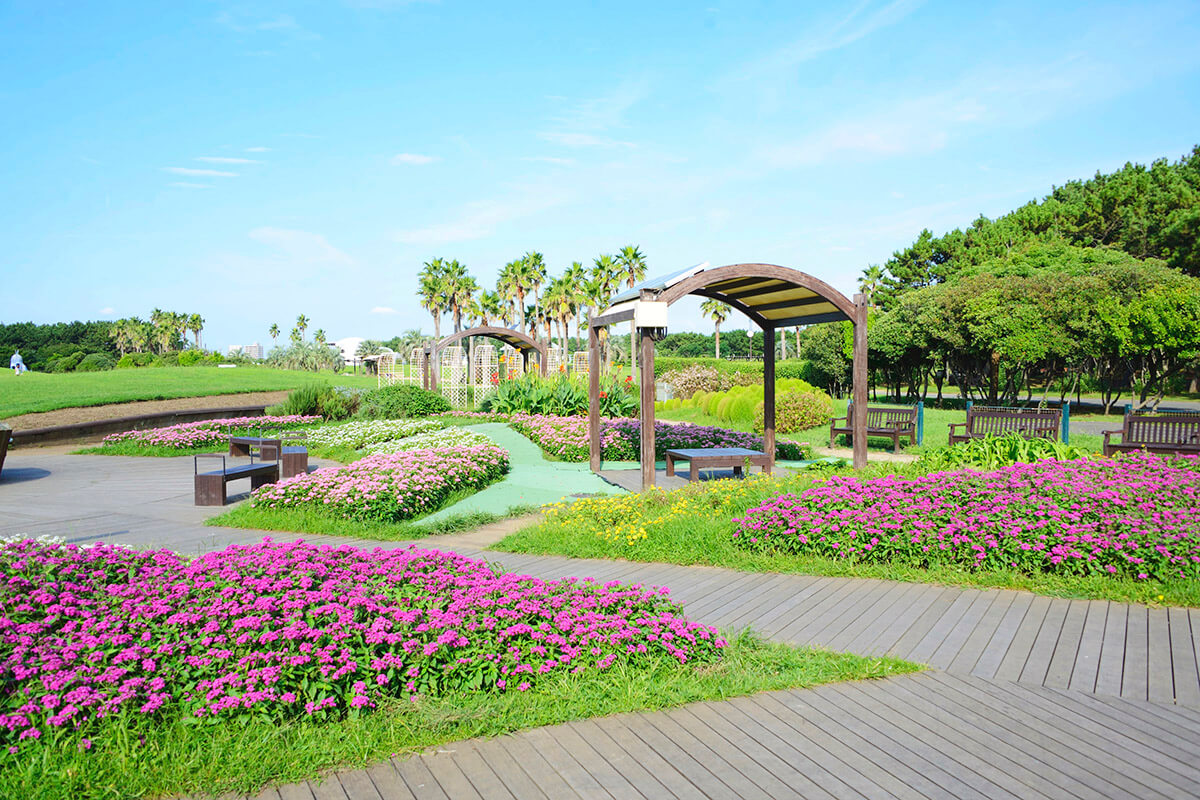 藤沢市 辻堂海岸は開放感がある 湘南-