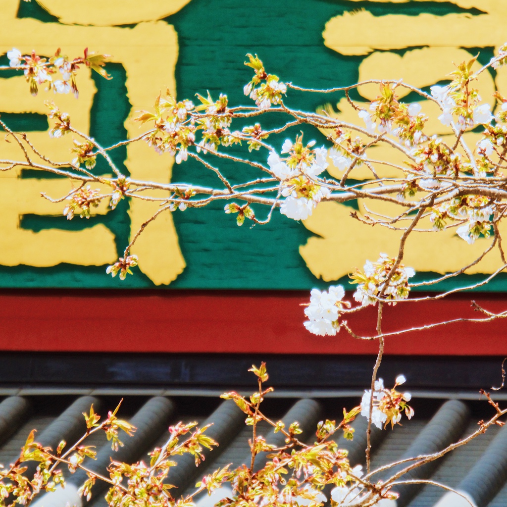 日光山輪王寺三仏堂 日光の仏さま ビッグ3蔭にも日の光